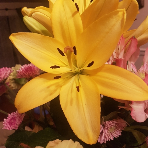 Meet your Posher, Uniq Butiq - Picture 1 of 3